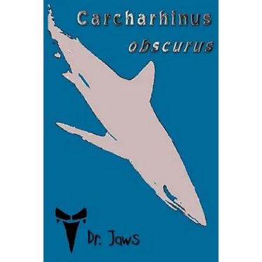 Carcharhinus obscurus