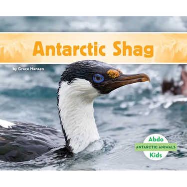 Antarctic Shag