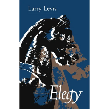 Elegy