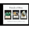 Friends of Mine: the Mineral Collection of Milton L. Leet