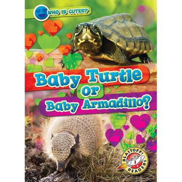 Baby Turtle or Baby Armadillo?