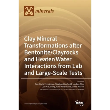 Clay Mineral Transformations after Bentonite/Clayrocks and Heater/Water Interactions from Lab and Large-Scale Tests