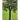 Parts of a Tree