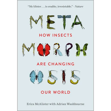 Metamorphosis: How Insects Are Changing Our World