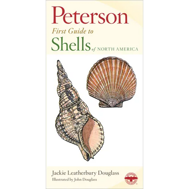 Shells of North America