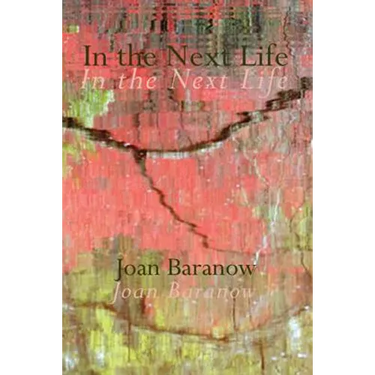 In the Next Life