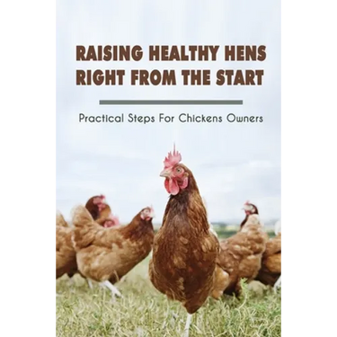 Raising Healthy Hens Right From The Start: Practical Steps For Chickens Owners: Chicken Health Issues