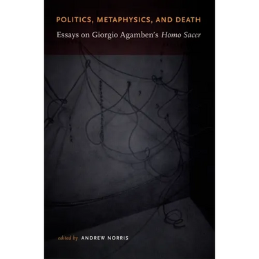 Politics, Metaphysics, and Death: Essays on Giorgio Agamben's Homo Sace