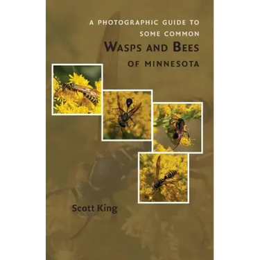 A Photographic Guide to Some Common Wasps and Bees of Minnesota
