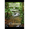 The Amazing Adventures of Two Boys: Bed Time Stories for Children