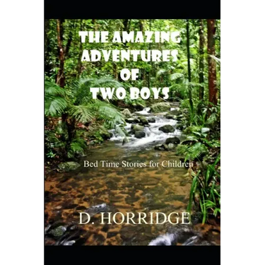 The Amazing Adventures of Two Boys: Bed Time Stories for Children