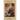 Darwin: A Companion - With Iconographies by John Van Wyhe