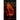 Blood Colony