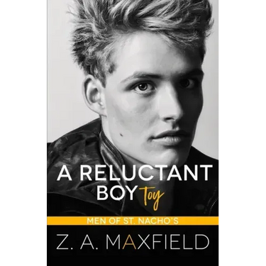 A Reluctant Boy Toy: A demisexual, bi awakening romance
