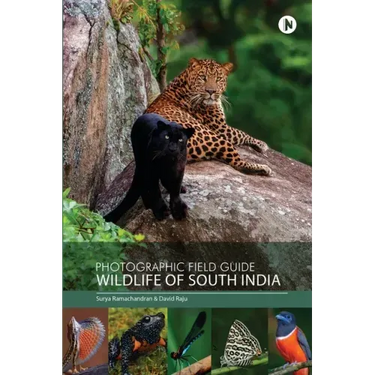 Photographic Field Guide - Wildlife of South India
