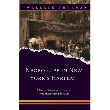 Negro life in New York's Harlem A lively picture of a popular and interesting section