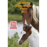 Identifying Chincoteague Ponies 2022