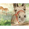 The Christmas Donkey