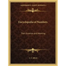 Encyclopedia of Numbers: Their Essence and Meaning