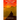 Open Awareness Open Mind: Finding lasting peace with the practice of meditation