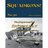 The Supermarine Spitfire Mk. V: The Belgian & Dutch Squadrons
