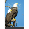 Part Two: Miracle In The Pines - An Eagles Love Story