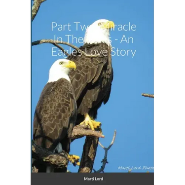 Part Two: Miracle In The Pines - An Eagles Love Story
