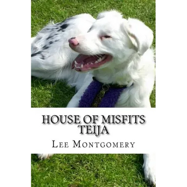 House of Misfits - Teija: Border Collie born deaf and blind