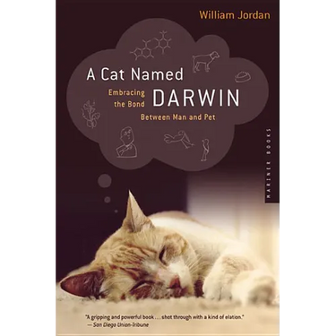 A Cat Named Darwin: Embracing the Bond Between Man and Pet