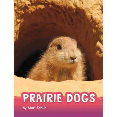 Prairie Dogs