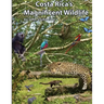 Costa Rica's Magnificent Wildlife