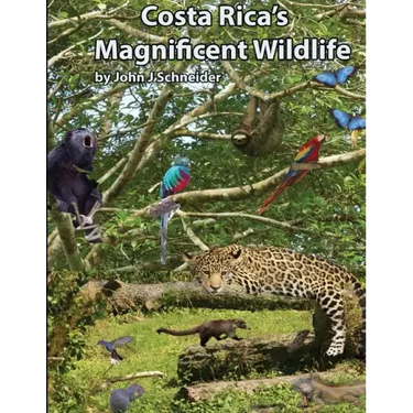 Costa Rica's Magnificent Wildlife