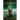 Scrutator