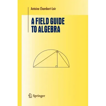 A Field Guide to Algebra