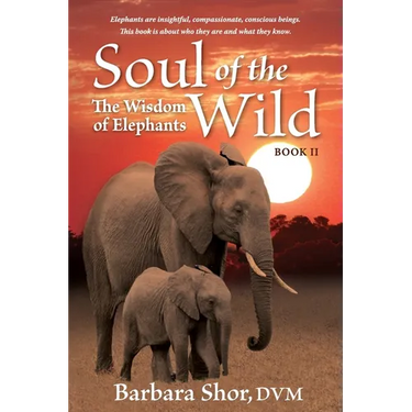 Soul of the Wild: Book II, The Wisdom of Elephants