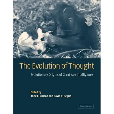 The Evolution of Thought: Evolutionary Origins of Great Ape Intelligence