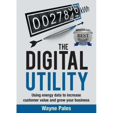 The Digital Utility: Using Energy Data to Increase Customer Value and Grow Your Business