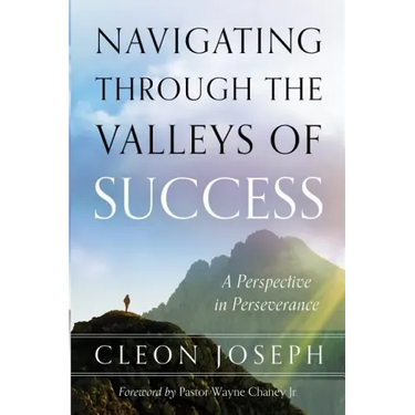 Navigating Through The Valleys Of Success: A Perspective In Perseverance