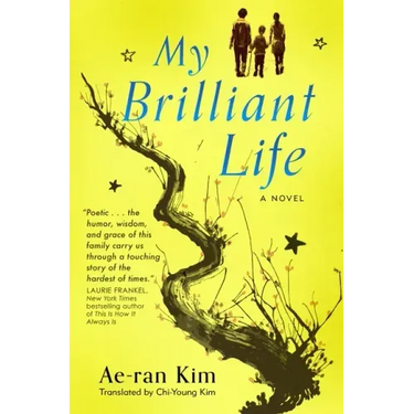 My Brilliant Life