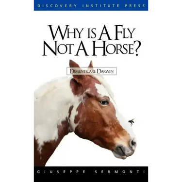 Why Is a Fly Not a Horse?
