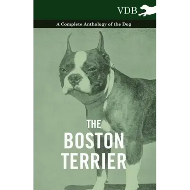 The Boston Terrier - A Complete Anthology of the Dog -