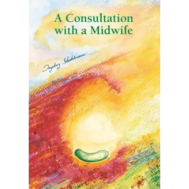 Consultation with a midwife: Sensitive, natural guidance through pregnancy, childbirth, childbed and breast-feeding