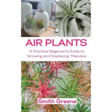 Air Plants: A Practical Beginner's Guide to Growing and Displaying Tillandsia