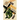 Black Mass