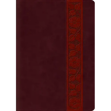 Study Bible-ESV-Large Print Trellis Design