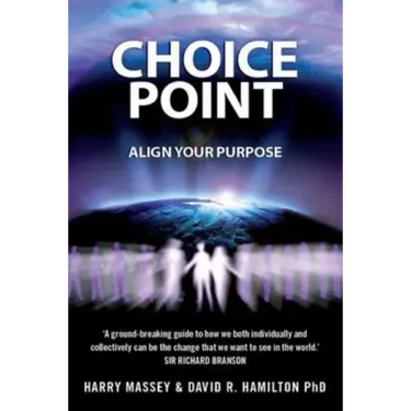 Choice Point: How to Master the Matrix. Harry Massey with Sasha Allenby