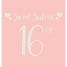 Happy 16th Birthday Guest Book (Hardcover): Sweet Sixteen Guest book, party and birthday celebrations decor, memory book, 16th birthday, happy birthda