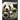Pandas: Photos and Fun Facts for Kids