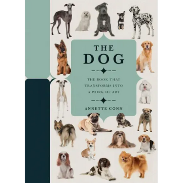 Paperscapes: The Dog: A Book That Transforms Into a Work of Art
