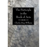 The Participle in the Book of Acts